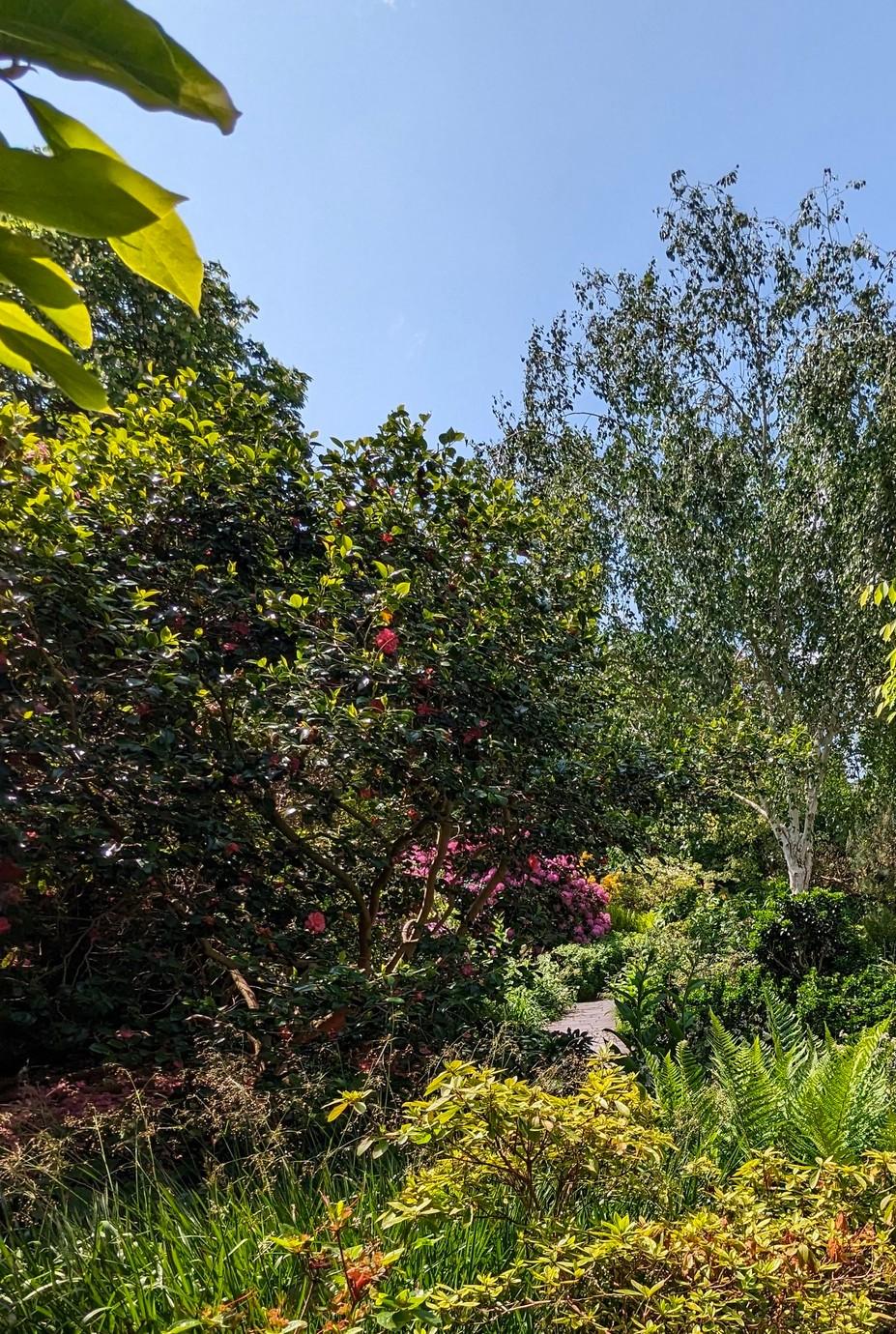 Jardins